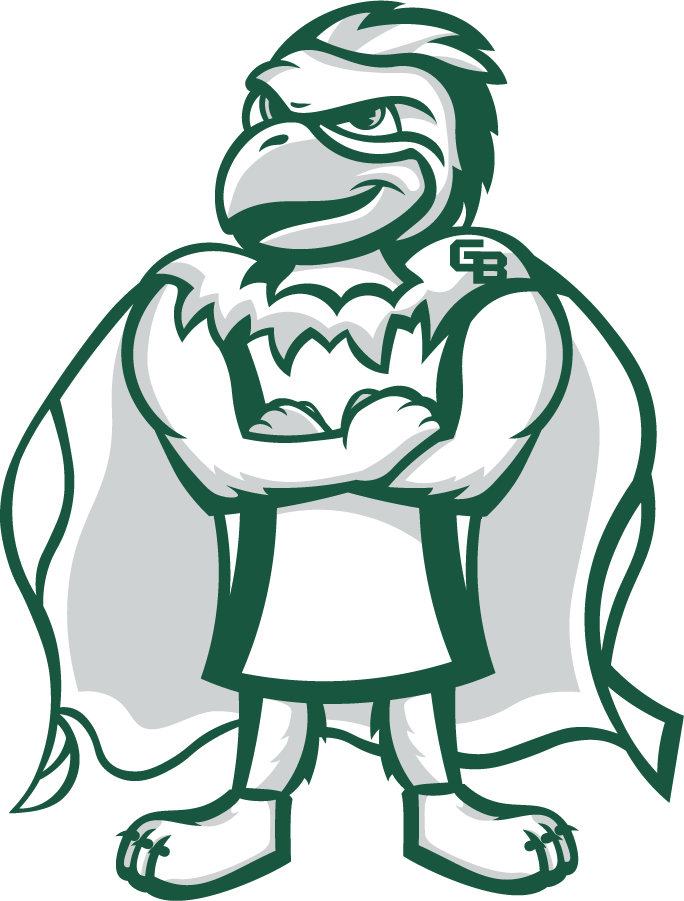 Wisconsin-Green Bay Phoenix 2020-Pres Mascot Logo v4 diy iron on heat transfer